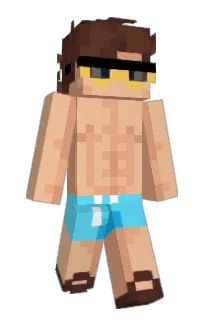 Front of ptols's skin