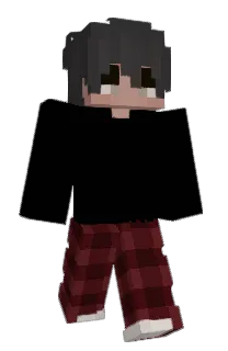 Front of raciing's skin