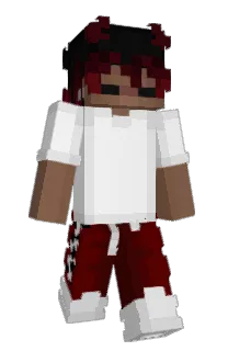 Front of sikko's skin