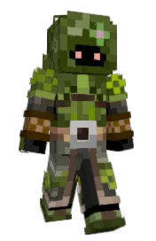 Skin preview