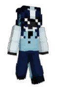 VV3NUS_