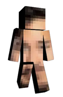 Front of Roseique's skin