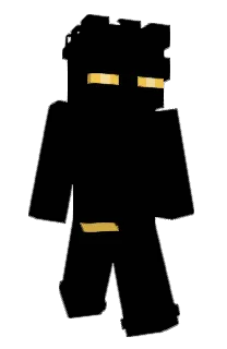 Front of Sk11ng's skin