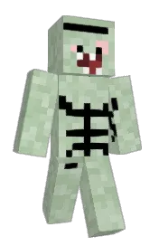 Skin preview