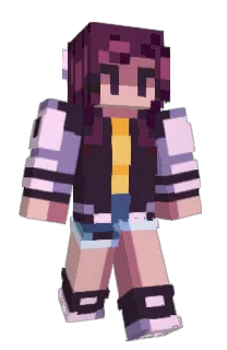 Front of SuperSketchCam's skin
