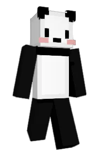 Front of DragonRaze's skin