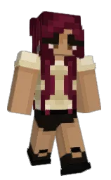 Minecraft skin — Classic model
