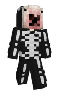 Front of Minecraft skin