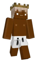 brown bramble and gallery Minecraft skin — Classic model