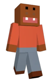 Front of Minecraft skin
