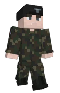 Front of elonsi's skin
