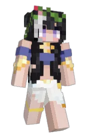 Skin preview