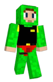 Skin preview