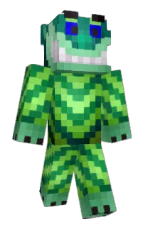 Front of shmidiot's skin