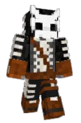 SilentSkull45