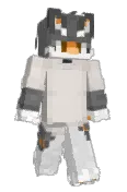 dusifish