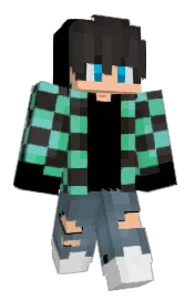 Skin preview