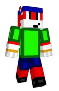 Front of DolphinCube_'s skin