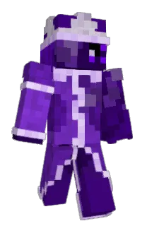 charninja09's Minecraft skin