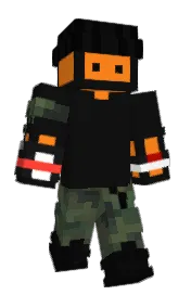 Skin preview
