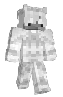 Front of ahycon's skin