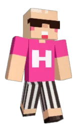 Minecraft skin — Classic model