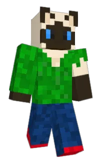 Front of DGI139's skin