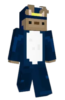 Front of Posterss's skin