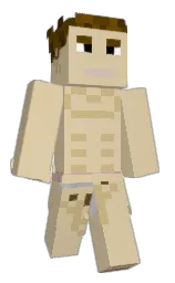 Minecraft skin — Classic model