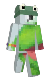 Skin preview