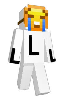Front of bike's skin
