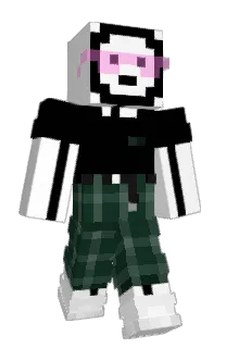 Front of paper_425's skin