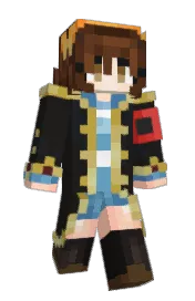 Skin preview
