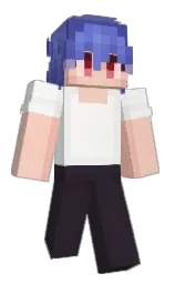 Minecraft skin — Classic model