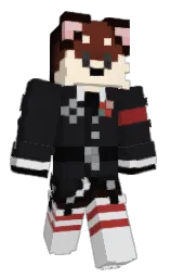 Minecraft skin — Classic model