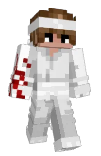 Front of Gixn17's skin
