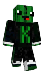 black and dark fern Minecraft skin — Classic model