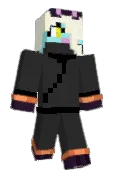 Electronauticon