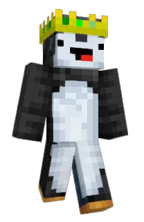 Front of ShinxRL's skin