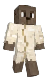 Classic Minecraft skin