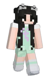 Skin preview