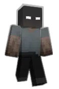 Encasii