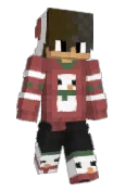 TypIIr