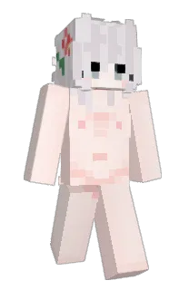 Front of sbnc's skin