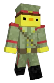 Skin preview