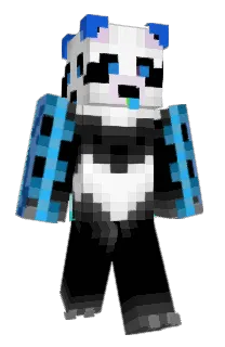 Front of IJSpanda's skin