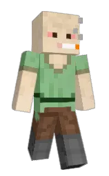 Minecraft skin — Classic model