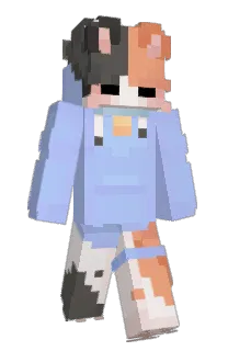Front of BSN_TW's skin