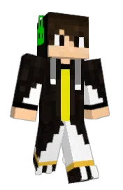 Skin preview