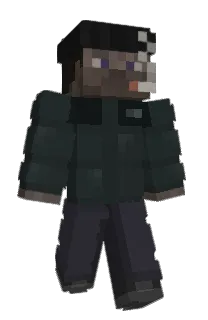 bleaau's Minecraft skin